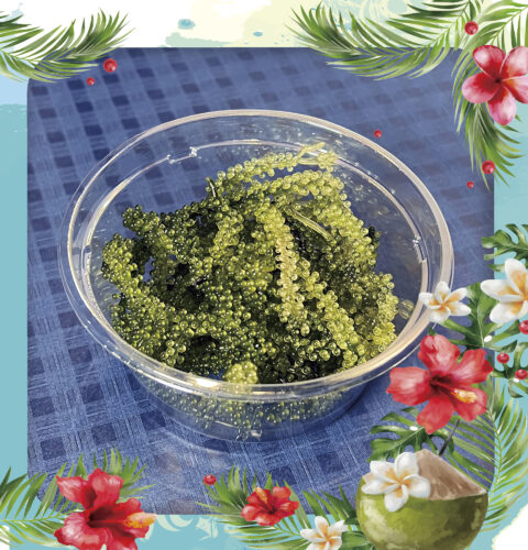【沖縄食堂おりおん】海ぶどうシークヮーサーポン酢 500円